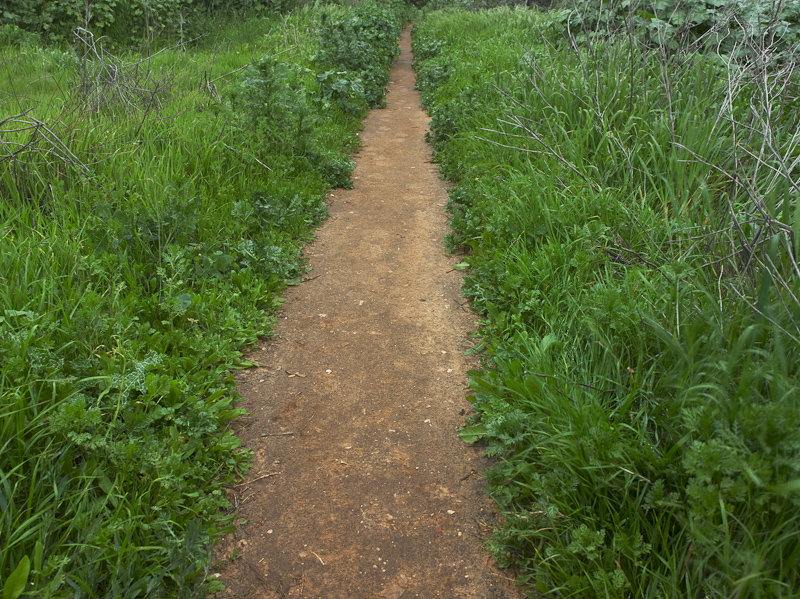 Path, Magdiel - 2010