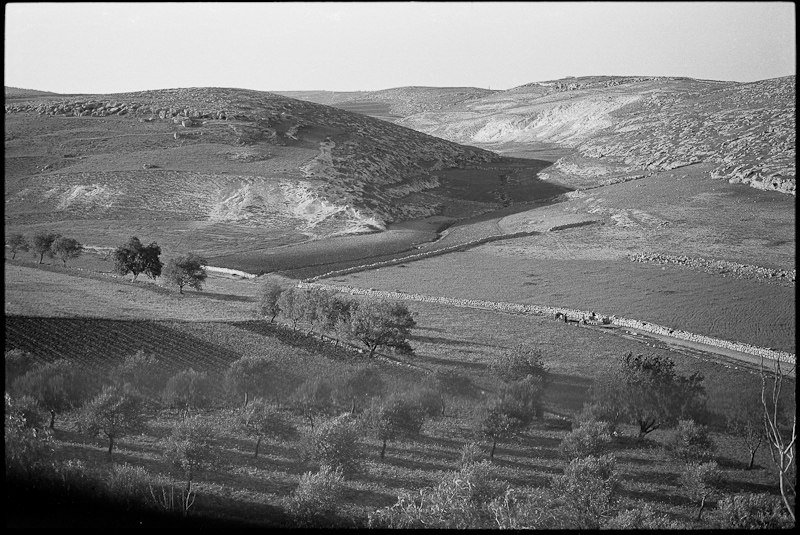 View from Herodion - 1976
