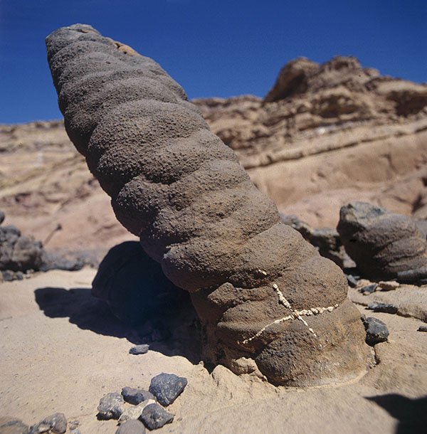 Pillar - Western Sinai