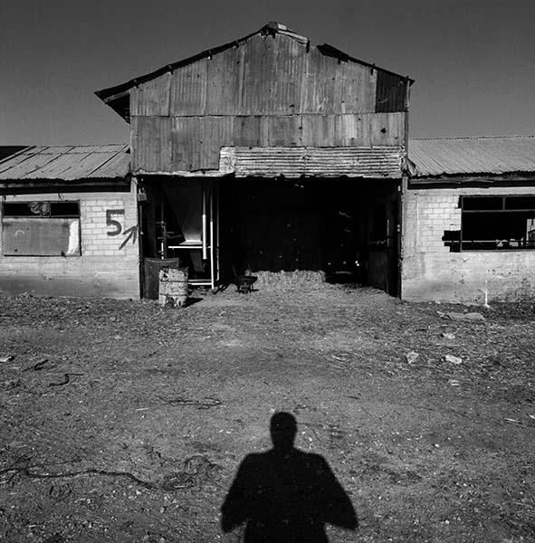 Barn and shadow