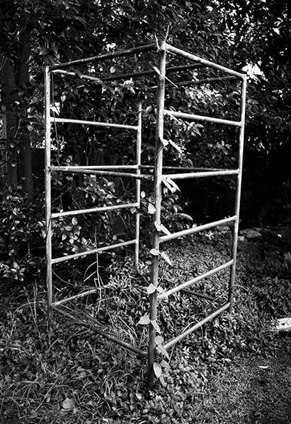 Jungle gym