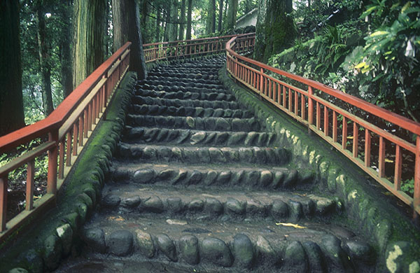 Nikko steps