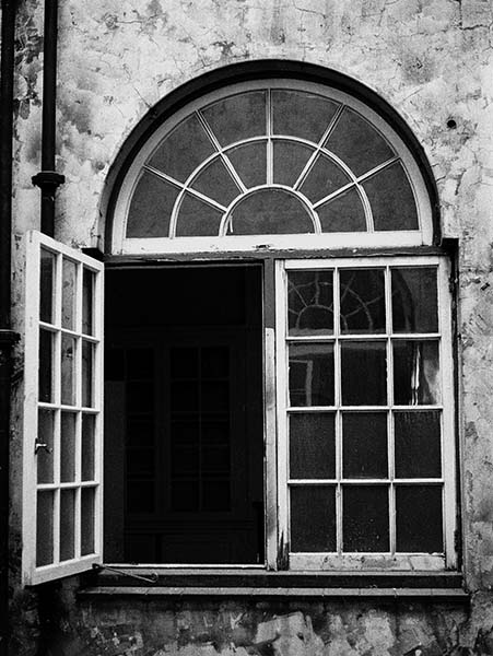 Window