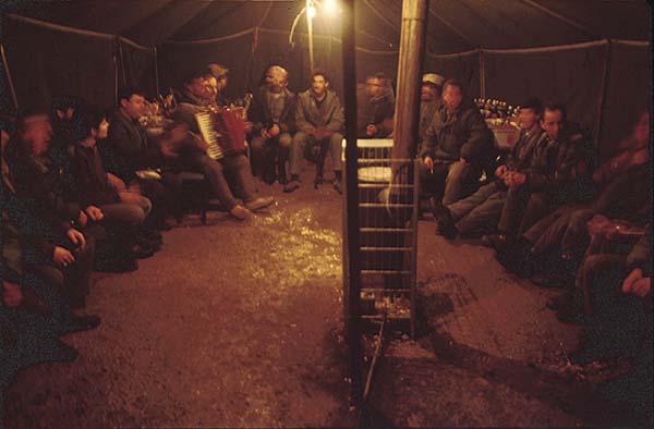 Party in a tent