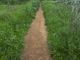 Path
