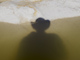 Shadow in pool