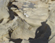 Rock, pools and shadow
