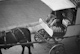 Milk delivery