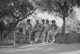 Family at Ashkelon