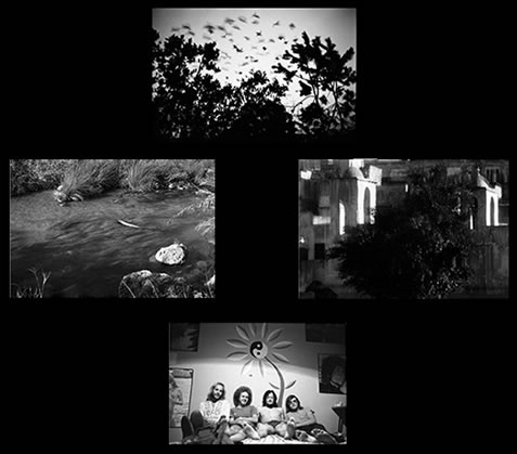 1973-1975, Studies