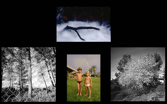 1986, Nature