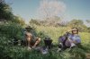 Picnic