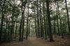 Places
