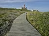 Path
