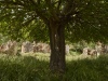 Deserted Village