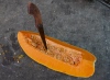 Pumpkin Pumpkin