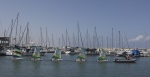 Optimists - Ashdod Marina, 2011