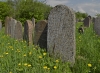 Gravestones - Keidan, Lithuania, 2013