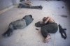 Sleeping soldiers Sleeping soldiers