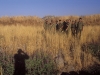 Group - Golan Heights, 1990