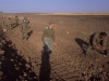 At work - Golan Heights, 1990