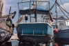 Boat Boat