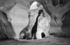 Cave Cave