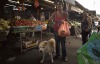 Carmel Market - Tel Aviv, 2011