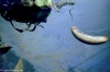 Oil on water - Kishon River, 1978