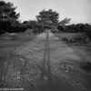 My shadow - Maale Hachamisha, 1989