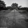 My shadow - Maale Hachamisha, 1989