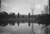 Pond and reflection in the golf course, Linksfield - 1970