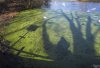 Pond