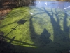 Pond - Hampstead Heath, 2006