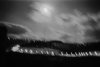 Moonlit sky
