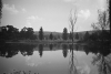 Pond and reflection in the golf course, Linksfield - 1970