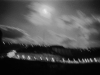 Moonlit sky - Haifa, 1973