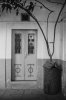 Door and Tree