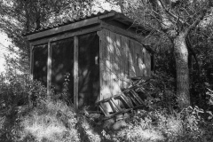 Expressions 1977-1979