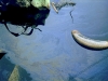 Oil on water - Kishon River, 1978