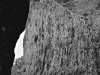 Burnt tree trunk - Hurshat Tal, 1977