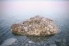Rock