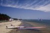Windsurfer