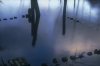 Reflections
