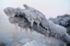 Saltmonster