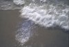 Wave