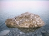 Rock - Dead Sea, 1983