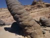 Forest of Pillars - Sinai Peninsula, Egypt, 1995