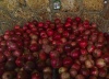 Pomegranates