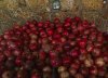 Pomegranates